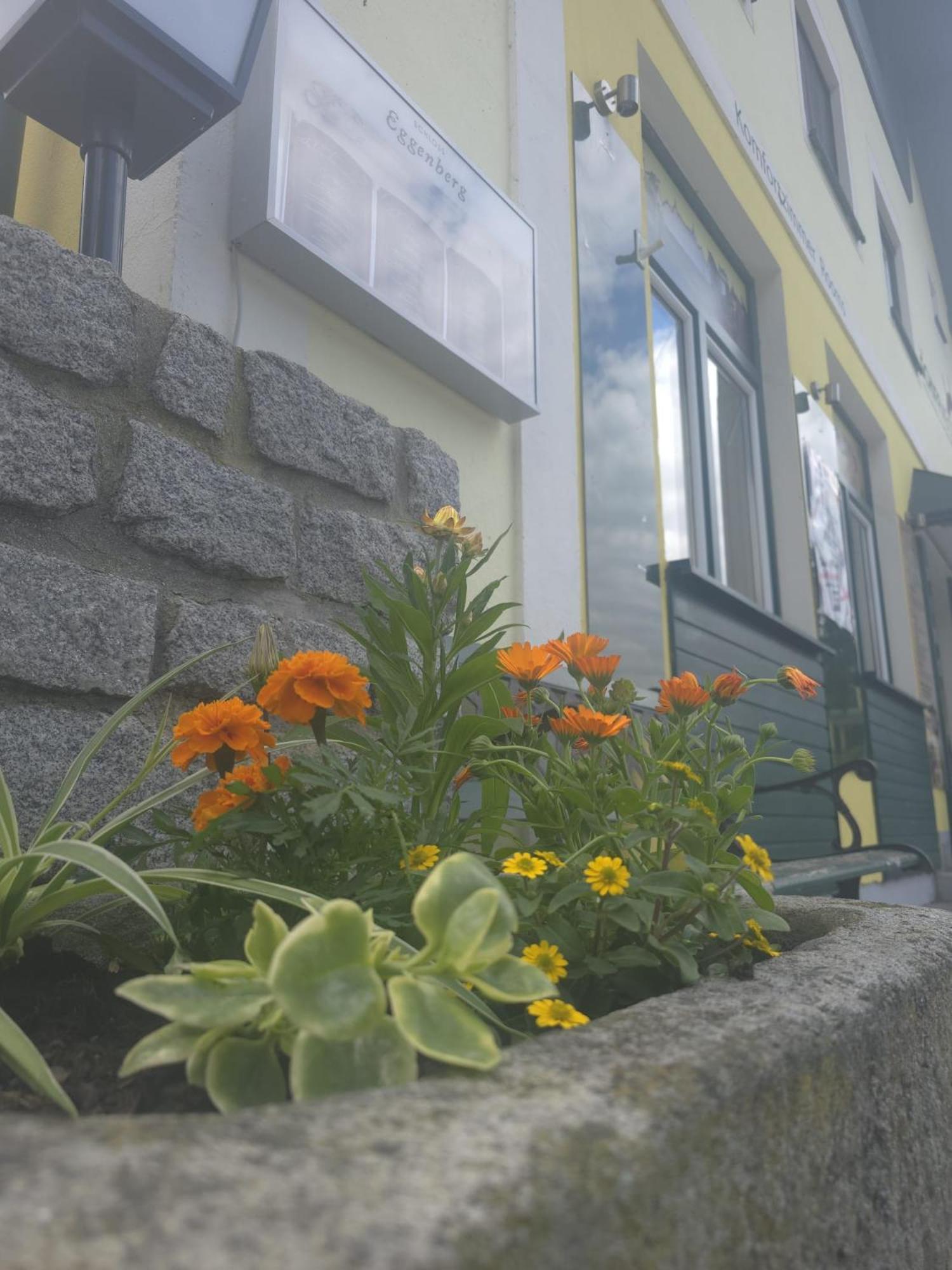 Gasthof Zum Schiffmeister Wesenufer Exterior foto